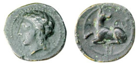 SICILIA - SIRACUSA - AGATOCLE IV (317-289 a.C.) BRONZO gr.1,9 - D/Testa laureata di Apollo a s. con legenda R/Cane seduto a s. rivolto indietro guarda...