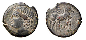 PUNICHE - ZEUGITANIA - CARTAGINE (220-215 a.C.) Periodo di Annibale, seconda guerra punica - AE 30 - gr.18,6 - Ø mm. 30 - D/Testa di Tanit a s. R/Cava...