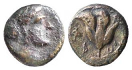 CARIA - RODI (350-300 a.C.) AE 10 gr.8,0 - D/Testa di Elios a d. R/La rosa - Ae - SNG Keckman 396-425 BB
