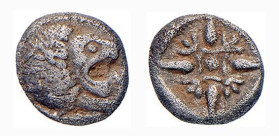 IONIA - MILETO (circa 525-494 a.C.) 1/12 DI STATERE gr. 1,1 - D/Testa di leone a d. con fauci aperte R/Entro quadrato incuso una stella con motivi flo...