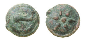 APULIA - LUCERIA (269-225 a. C.) TERUNCIUS gr. 98 - D/Delfino a sinistra con sotto tre globetti R/Stella a sei raggi attorno a globo - Patina verde - ...