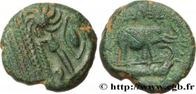 GALLIA BELGICA - BELLOVACI (Area of Beauvais)
Type : Statère de bronze à l’éléphant C.VILI - TELEDHI 
Date : c. 80-50 AC. 
Mint name / Town : Beauv...