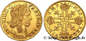 LOUIS XIII
Type : Louis d'or à la mèche longue, 2e type 
Date : 1641 
Mint name / Town : Paris, Monnaie du Louvre 
Quantity minted : 684300 
Meta...