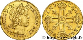 LOUIS XIV "THE SUN KING"
Type : Demi-louis d'or à la mèche courte 
Date : 1645 
Mint name / Town : Paris 
Metal : gold 
Millesimal fineness : 917...