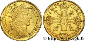 LOUIS XIV "THE SUN KING"
Type : Louis d'or juvénile lauré 
Date : 1667 
Mint name / Town : Paris 
Quantity minted : 34816 
Metal : gold 
Millesi...