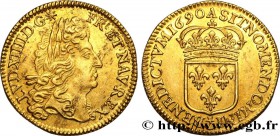 LOUIS XIV "THE SUN KING"
Type : Louis d'or à l'écu, type définitif 
Date : 1690 
Mint name / Town : Paris 
Quantity minted : 1182332 
Metal : gol...