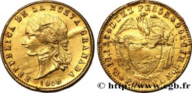 COLOMBIA - REPUBLIC OF NEW GRANADA
Type : 10 Pesos 
Date : 1858 
Mint name / Town : Popayan 
Quantity minted : - 
Metal : gold 
Millesimal finen...