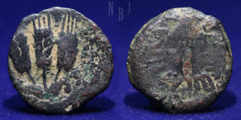 Judaea: Agrippa I 36-44, Bronze Prutah. Umbrella like canopy “BACIΛEWC AΓPIΠA”. ...