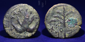 Judaea: Bar Kochba Revolt (132-135AD), AE25, undated, 9.71gm