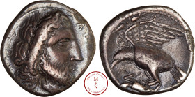 Bruttium, Locres, Nomos, Statère ou didrachme, 334-330 avant J.-C., Av. Tête de Zeus lauré à droite, Rv. Aigle à gauche, les ailes déployées attaquant...