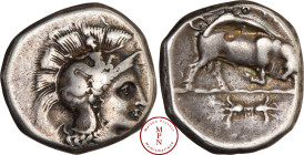 Lucanie, Thurium, Statère, 350 avant J.-C., Av. Tête d'Athéna à droite, coiffé d'un casque à crête, Rv. Boeuf à droite, un foudre à l'exergue, Argent,...