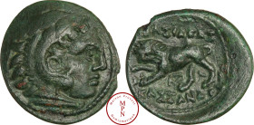 Macédoine, Cassandre (319-297 avant J.-C.), Demi-unité, Av. Tête d'Hercule à droite, coiffée de la léonté, Rv. Lion à gauche, Cuivre, TTB+, 2.76g, 18m...