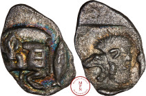 Mysie, Cysique, Obole, Av. Protomée de Sanglier, un E dessus, Rv. Protomée de lion à gauche, Argent, TTB, 0.78g, 14mm, BMC 118,