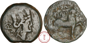 Numidie, Cirta, Unité, 46 avant J.-C., Av. Tête de Tychée à droite, Rv. Cheval à droite, Cuivre, TB, 14.84g, 28mm, Cop. 669, Très rare monnaie !...