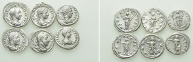 6 Denarii of Severus Alexander, Geta etc