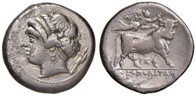 CAMPANIA Neapolis (340-241 a.C.) Didracma - Testa di ninfa a s. - R/ Toro andante a d. - cfr. SG 310 AG (g 7,10) Colpo al D/. Graffi

Status: qBB