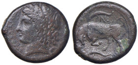 SICILIA Siracusa - Agatocle (317-289 a.C.) AE - Testa di Aretusa a s. - R/ Toro verso s. - AE (g 9,89)

Status: BB