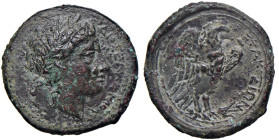SICILIA Siracusa - Hiketas (287-278 a.C.) AE - Testa di Zeus Hellanios a d. - R/ Aquila verso D. - AE (g 8,60) RR Variante con l'aquila a d.

Status...