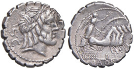 Antonia - Q. Antonius Balbus - Denario (83-82 a.C.) Testa di Giove a d. - R/ La Vittoria su quadriga a d. - B. 1; Cr. 364/1 AG (g 3,76)

Status: BB