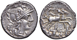 Marcia - M. Marcius Mn. f. - Denario (134 a.C.) Testa di Roma a d. - R/ La Vittoria su biga a d., sotto, spiga di grano - B. 8; Cr. 245/1 AG (g 3,89) ...