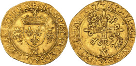 François Ier (1461-1483).
Écu d'or aux salamandres, 1er type (1540) M, Toulouse.
Av. Écu de France couronné, accosté de deux salamandres couronnées, M...