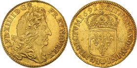 Louis XIV (1643-1715)
Double louis d'or à l'écu 1691 B, Rouen. Flan neuf.
Av. Tête laurée à droite. 
Rv. Écu de France couronné.
Dup 1434.
13,47 g.Inf...