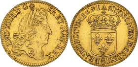 Louis XIV (1643-1715)
Louis d'or à l'écu 1691 A, Paris. Flan réformé.
Av. Tête laurée à droite. 
Rv. Écu de France couronné.
Clairand 33016.
6,74 g. M...