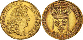 Louis XIV (1643-1715)
Louis d'or à l'écu 1691 Y, Bourges. Flan réformé.
Av. Tête laurée à droite. 
Rv. Écu de France couronné.
Clairand 33016.
6,69 g....