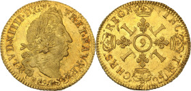 Louis XIV (1643-1715)
Louis d'or aux quatre L 1694 9, Rennes. Flan réformé.
Av. Tête laurée à droite. 
Rv. Croix formée de quatre lis couronnés, canto...