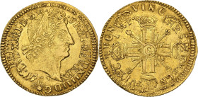 Louis XIV (1643-1715)
Louis d'or aux huit L et aux insignes 1702 G, Poitiers. Flan réformé.
Av. Tête laurée à droite. 
Rv. Croix formée de quatre lis ...