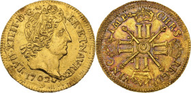 Louis XIV (1643-1715)
Louis d'or aux huit L et aux insignes 1702 O, Riom. Flan réformé.
Av. Tête laurée à droite. 
Rv. Croix formée de quatre lis cour...