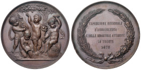Trento - Medaglia 1875 Esposizione Agricoltura e Industria - D/ Quattro putti intenti in varie attività agricole: mietitura, innaffio, raccolta frutti...