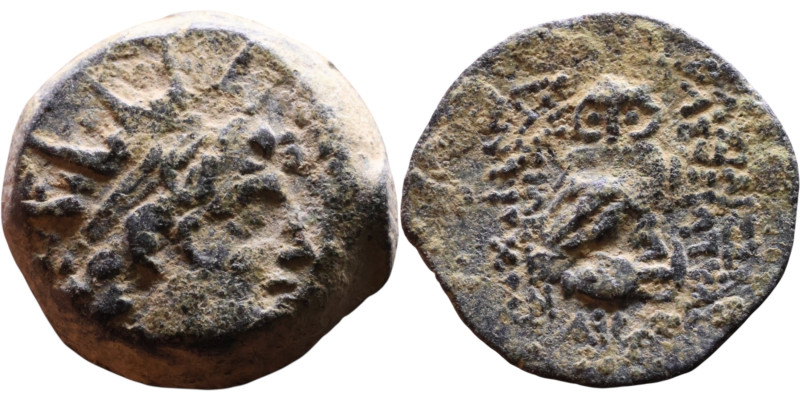 Antiochos VIII Epiphanes (Seleukid King: 121-96 BC). AE bronze. Obv.: Radiate he...