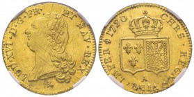 Louis XVI 1774-1792
Double Louis d'or à la tête nue, 1er sem., Paris, 1790 A, AU 15.29 g.
Ref : G.363 (R), Fr. 474
Conservation : NGC MS61, très rare ...