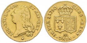 Louis XVI 1774-1792
Double Louis d'or à la tête nue, Metz, 1790 AA, AU 15.18 g.
Ref : G.363 (R), Fr. 474
Conservation : TTB