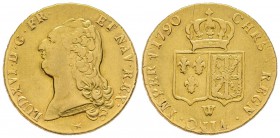Louis XVI 1774-1792
Double Louis d'or à la tête nue,Lille, 1790 W, AU 15.19 g.
Ref : G.363 (R2), Fr. 474
Conservation : TTB