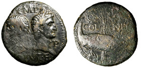 AUGUSTO E AGRIPPA 10-14) AE per Nimes (g. 12,83). Busti opposti di Augusto e Agrippa R/ Coccodrillo incatenato a una palma. RIC 160 AE RARO BB