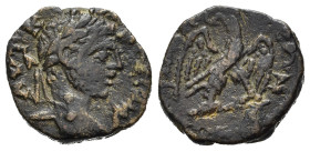 GETA ? (209-211). Caria, Antiochia ad Maeandrum. AE (g 3,32). Testa laureata a destra. R/ Aquila stante a destra, con ali aperte e testa rivolta indie...