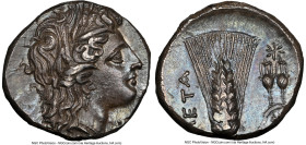 LUCANIA. Metapontum. Ca. 330-280 BC. AR stater (20mm, 7.89 gm, 7h). NGC Choice AU 4/5 - 4/5. Head of Demeter right, wearing barley wreath, pendant ear...