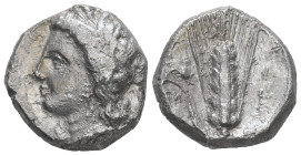 Lucania, Metapontion. AR Stater. 7.42 g - 19.34 mm. Circa 330-290 BC.