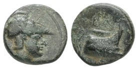 Kings of Macedon, Demetrios I Poliorketes, 306-283 BC. AE. 1.65 g - 11.96 mm.