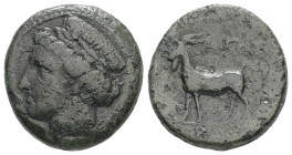 Thrace, Aigospotamoi. AE. 6.84 g - 19.48 mm. Late 4th century BC.