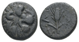 Thrace, Lysimacheia. AE. 2.84 g - 14.61 mm. Circa 309-220 BC.
