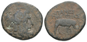 Seleukis and Pieria, Apameia. AE. 7.28 g - 22.93 mm. 1st century BC.