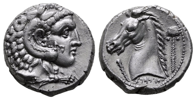 Sicily. Entella circa 300-289 BC. 
Tetradrachm AR

24 mm, 17,14 g

Head of ...