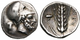 LUCANIE, METAPONTE, AR statère, vers 330 av. J.-C. D/ T. de Leucippe barbu à d., coiffé du casque corinthien. Derrière la tête, grappe de raisin. R/ E...