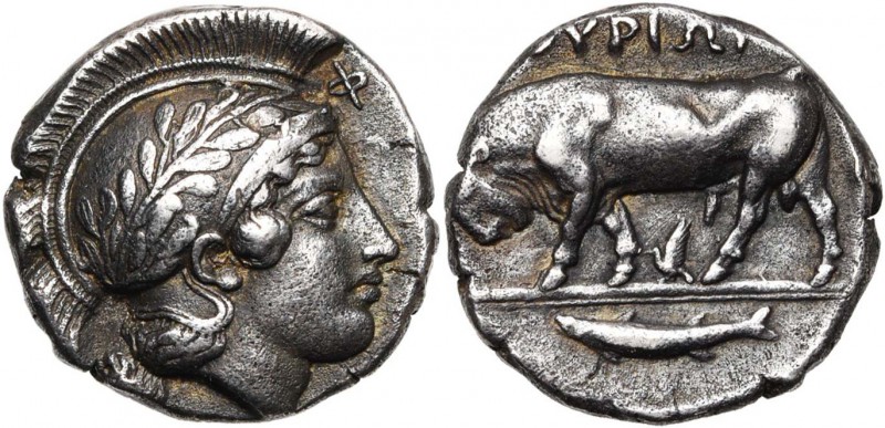LUCANIE, THOURIOI, AR statère, vers 350 av. J.-C. D/ T. casquée d'Athéna à d., l...