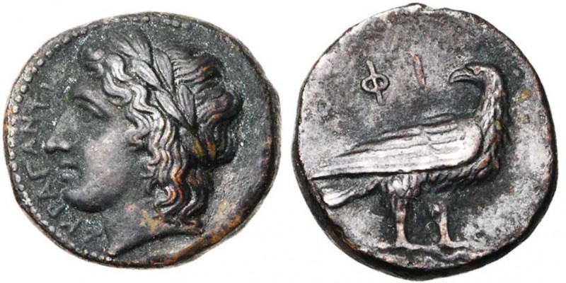SICILE, AGRIGENTE, AE bronze, 287-275 av. J.-C. D/ AKPAΓANTINΩN T. l. d'Apollon ...