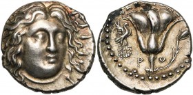 ILES DE CARIE, RHODES, ville de Rhodes, AR didrachme, 230-205 av. J.-C. D/ T. r. d'Hélios de f., légèrement tourné vers la d. R/ P-O Rose avec bouton....