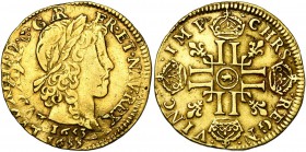 FRANCE, Royaume, Louis XIV (1643-1715), AV louis d'or à la mèche longue, 1653, Arras (AR et rat). D/ T. enfantine laurée à d. R/ Croix formée de huit ...